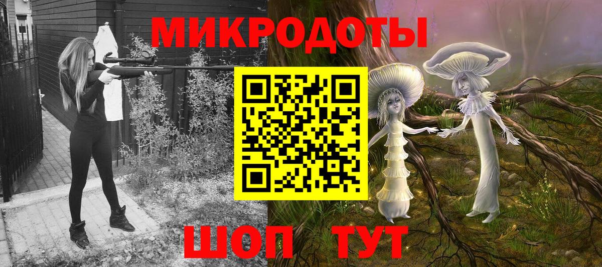 Псилоцибиновые грибы Psilocybe  где найти   Саров  Вход с VPN 